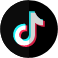 Tiktok Icon